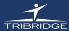 TriBridge